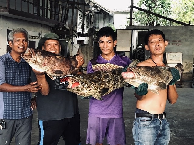 ไต๋เชียร คุระบุรี