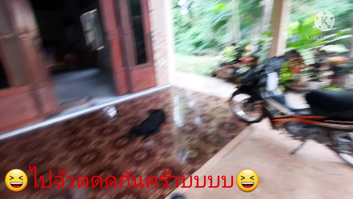 กัดแล้วกัดอีก