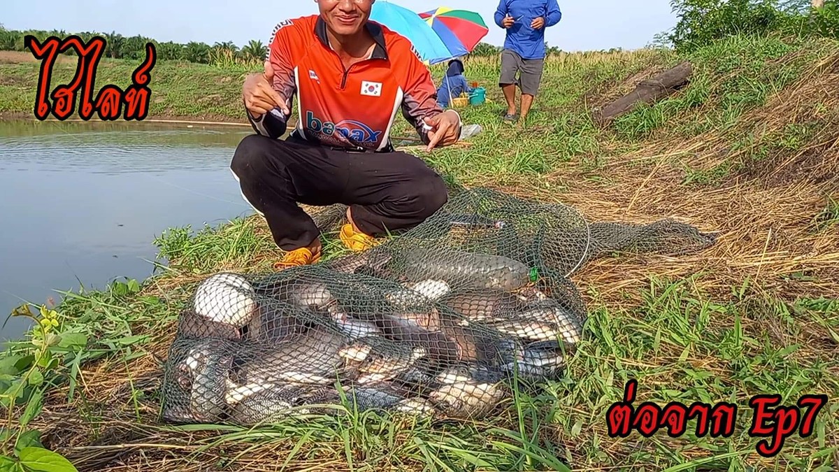 เมื่อฝูงปลานิลเข้ามาเยือน