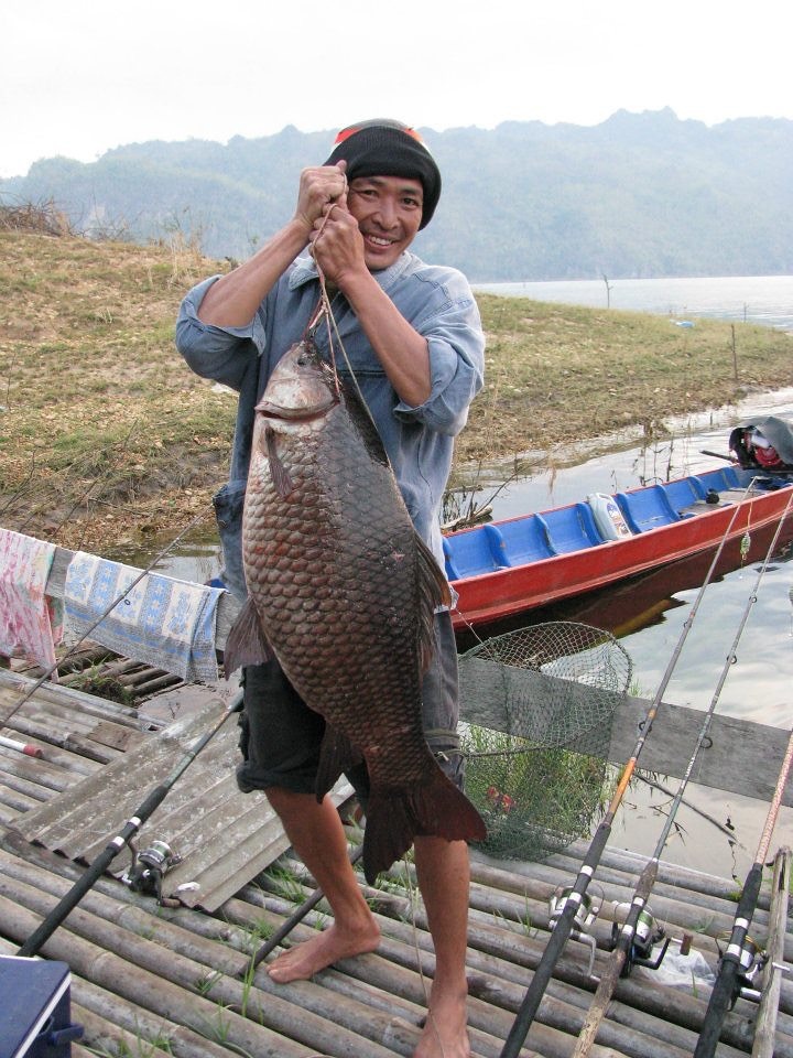 ยี่สกใหญ่