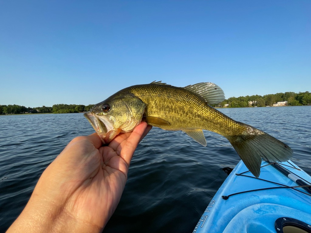 Bass fishing in USA ตอน ล่องคายัก ๆๆๆ