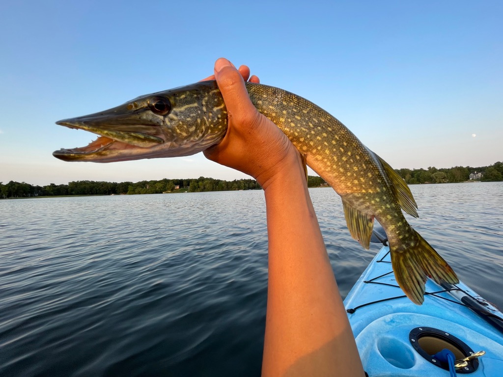 Bass fishing in USA ตอน ล่องคายัก ๆๆๆ