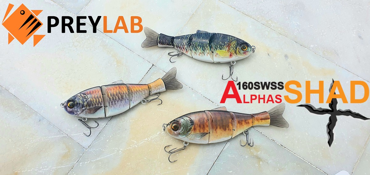 บิ๊กเบท ปลาบั้ง Alphas Shad  รุ่นใหม่จาก PREYLAB เหยื่อคอสตอม