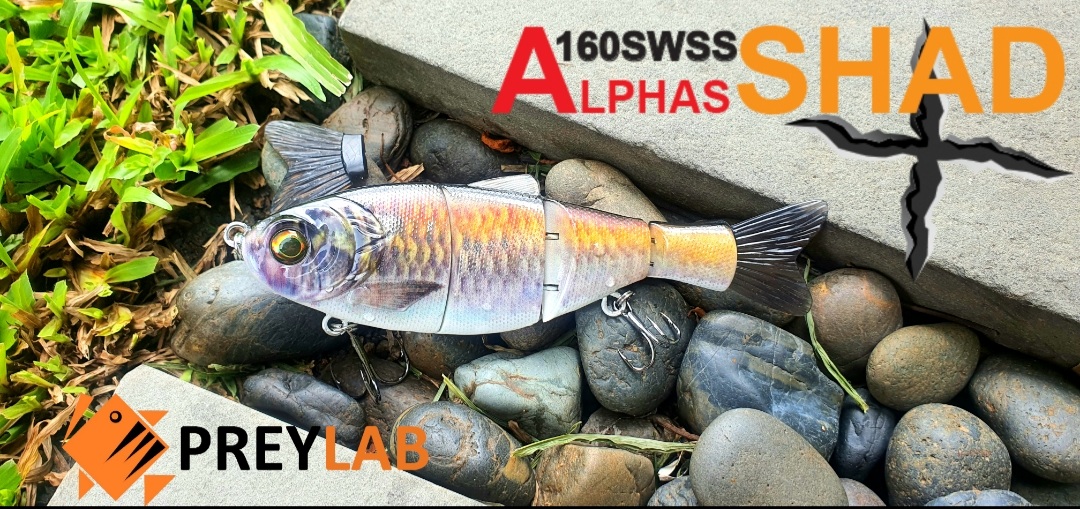 บิ๊กเบท ปลาบั้ง Alphas Shad  รุ่นใหม่จาก PREYLAB เหยื่อคอสตอม