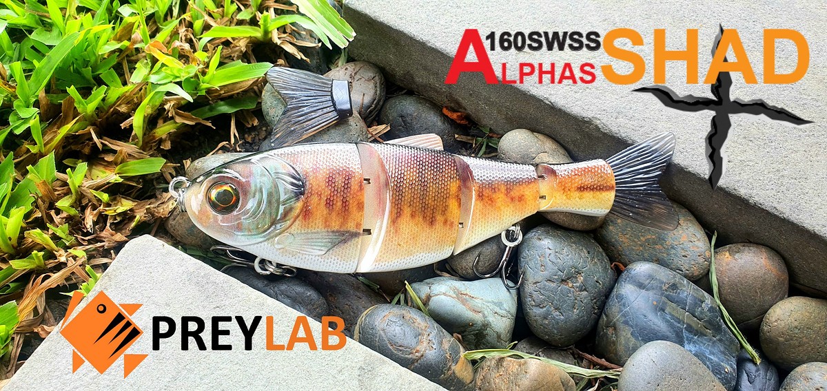 บิ๊กเบท ปลาบั้ง Alphas Shad  รุ่นใหม่จาก PREYLAB เหยื่อคอสตอม