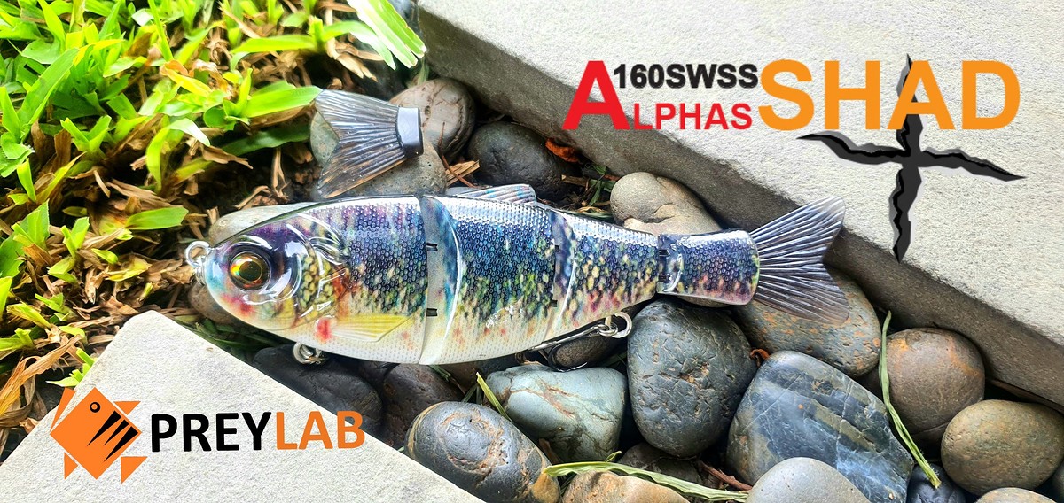 บิ๊กเบท ปลาบั้ง Alphas Shad  รุ่นใหม่จาก PREYLAB เหยื่อคอสตอม