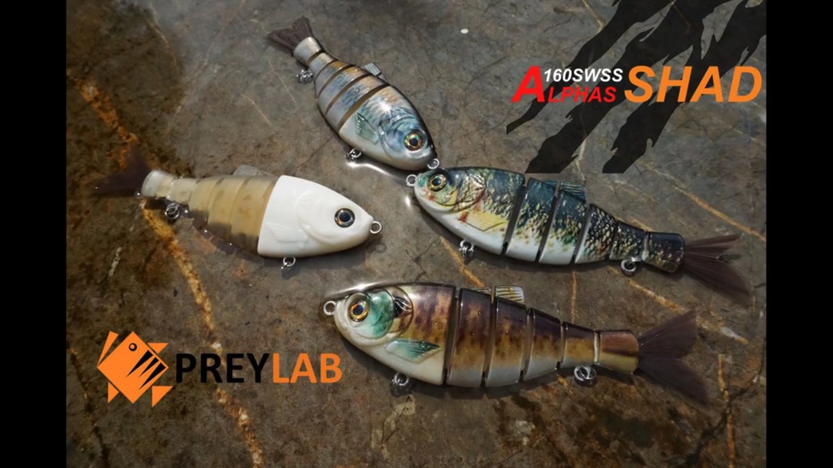 บิ๊กเบท ปลาบั้ง Alphas Shad  รุ่นใหม่จาก PREYLAB เหยื่อคอสตอม