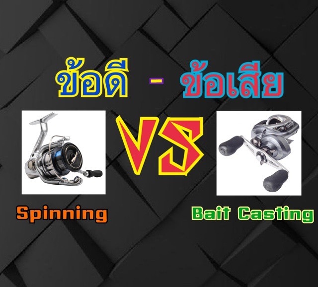 Spinning VS Bait Casting