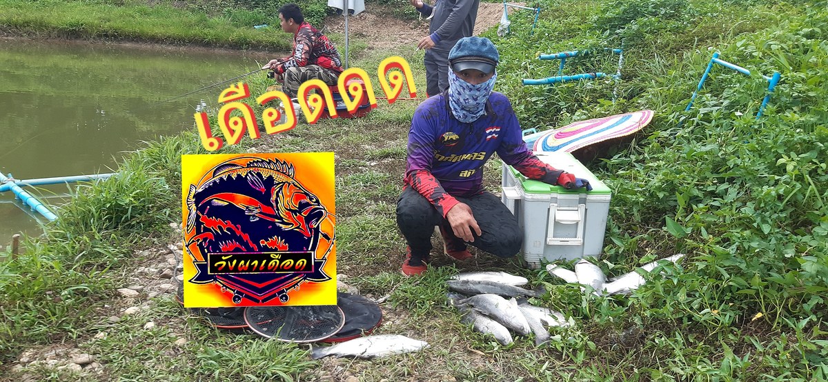 กระพง บุฟเฟ่ บ่อวังผาเดือด จ.น่าน 300kg 233ตัว 30คน