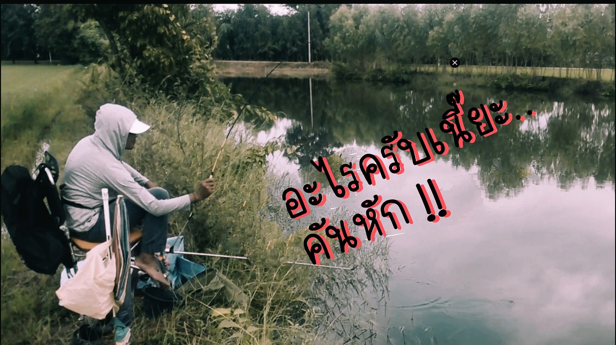 ตกชิงหลิว หมายธรรมชาติ ไม้ตายตะกั่ววิ่ง+คันหัก !! /ท้ายคลิปมีอะไรจะบอก