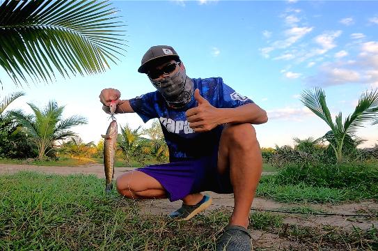 กบกระโดด​ Rapala​ bx​ skitter​ frog​