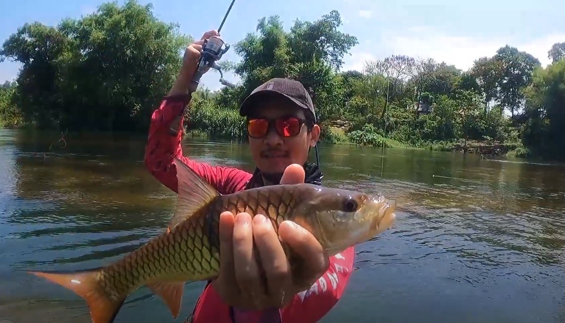 กระสูบน้ำไหล Stream Fishing ตกปลาเสพบรรยากาศ ได้แช่น้ำก็สุขจาย | หมายไหนครับน้า