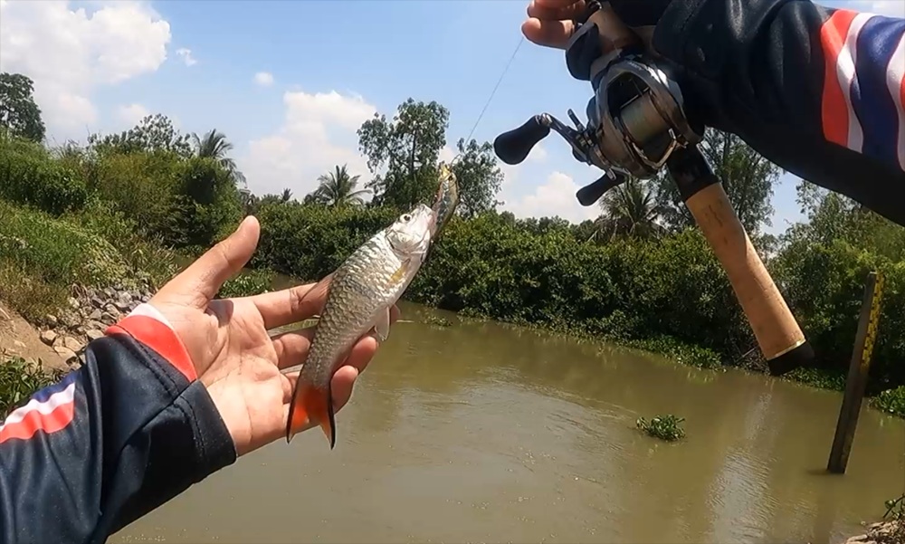 ตีกระสูบ ตกปลาช่อน พอได้เพลินนนๆ