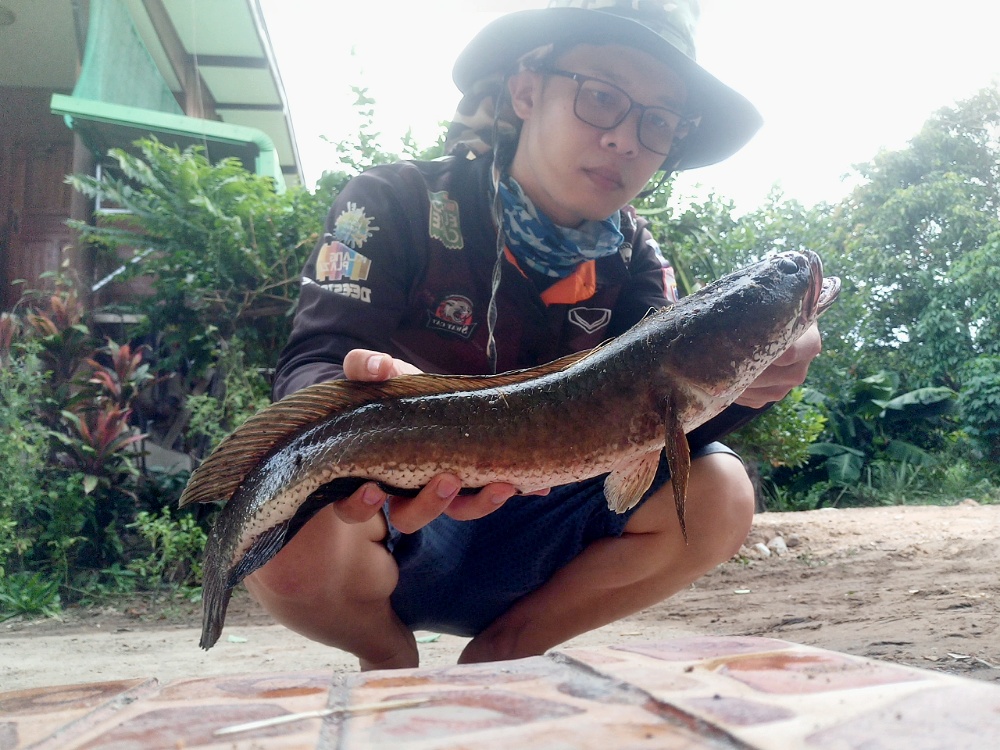 ขนาดกำลังดี