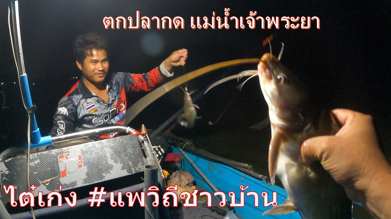 ตกปลากด แม่น้ำเจ้าพระยา กับไต๋เก่งแพวิถีชาวบ้าน