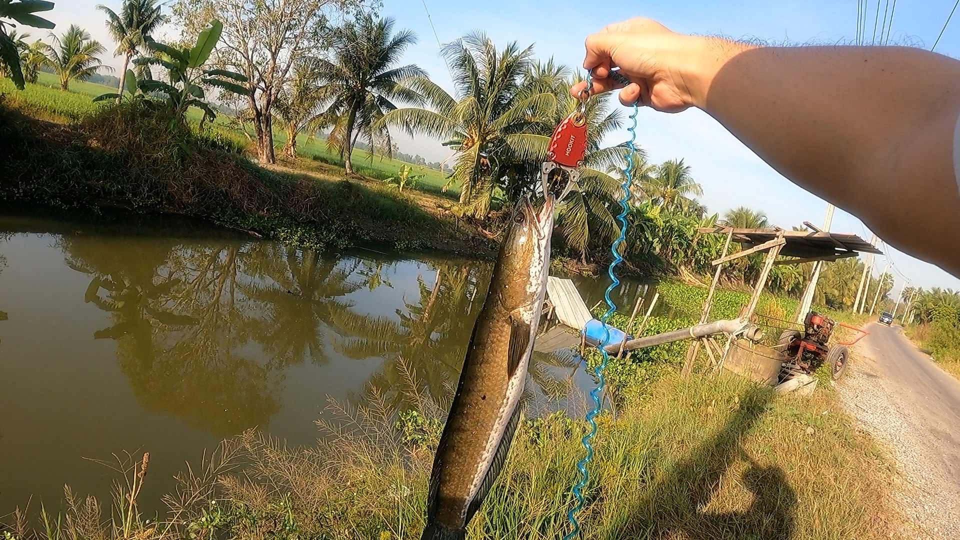 ช่อนคลอง Texas Rig หนองจอก.. | หมายไหนครับน้า