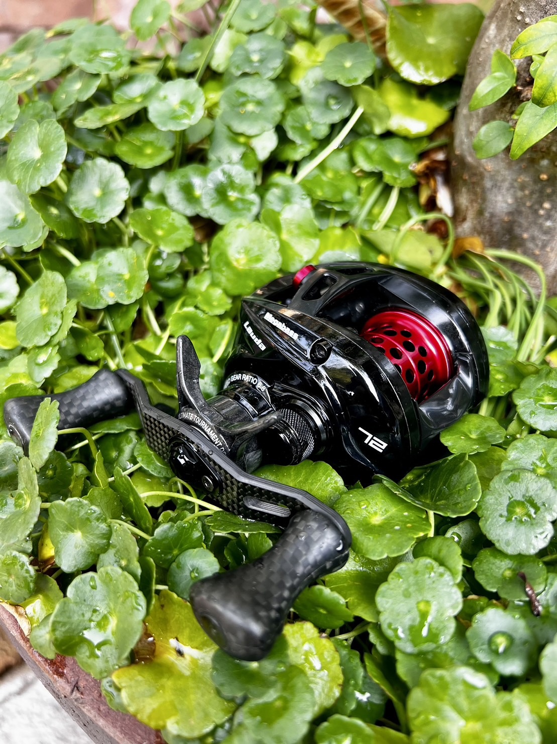 Daiwa Alphas Air