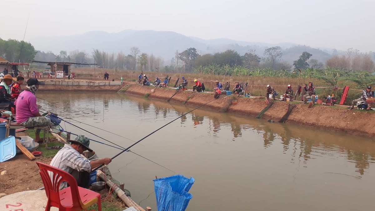 บ่อปลาอิคคิว มีนา Fishing