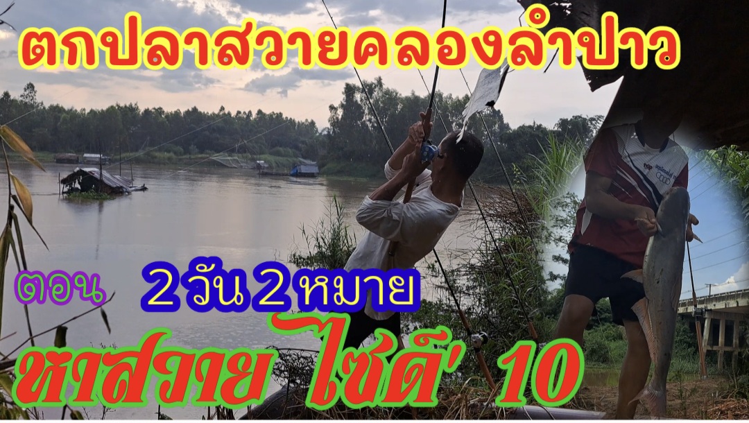 ตกปลาสวายคลองลำปาว