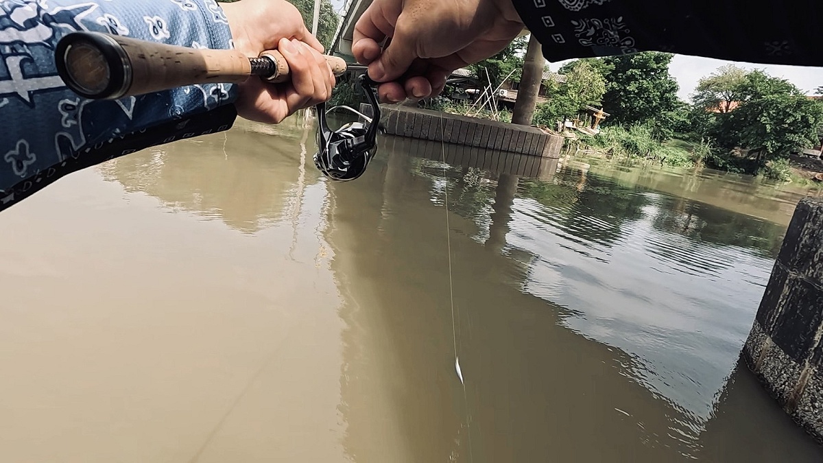 ตกปลาแม่น้ำน้อยวันน้ำขุ่น...เจ้าถิ่นเสนาพาไปลุย