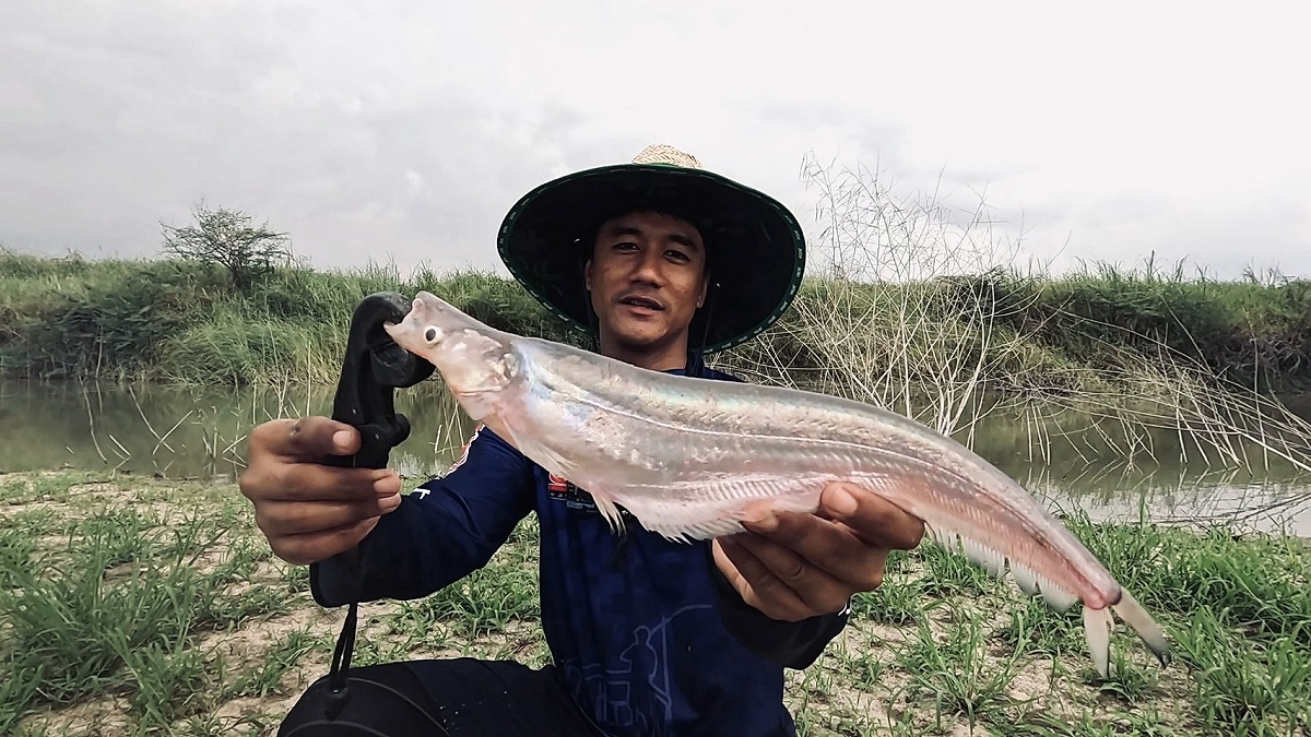 ตกปลาแม่น้ำน้อยวันน้ำขุ่น...เจ้าถิ่นเสนาพาไปลุย