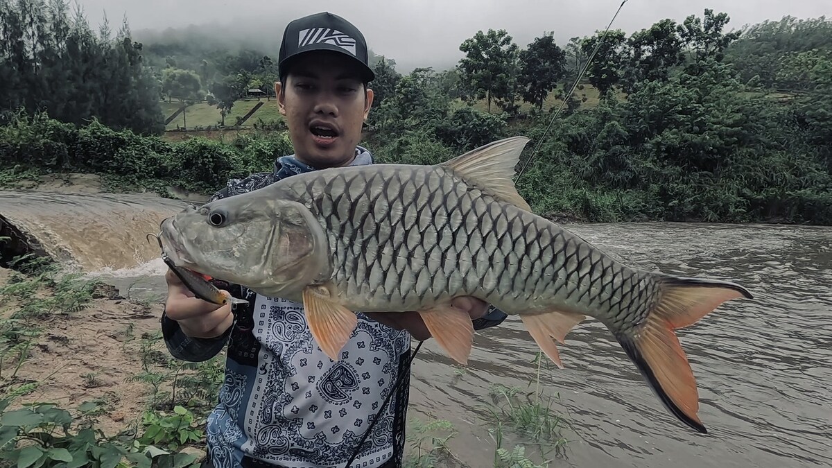 ตกกระสูบอ่างห้วยท่าเคย ในวันที่ฟ้าไม่ค่อยเป็นใจ