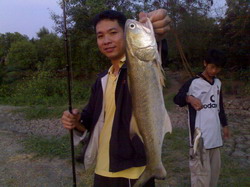 ******กุเลาใหญ่******ที่บ่อปู