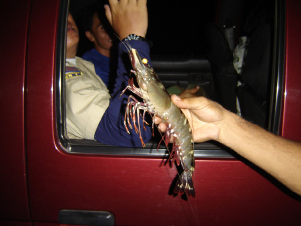 ตลาดนัดวันเสาร์