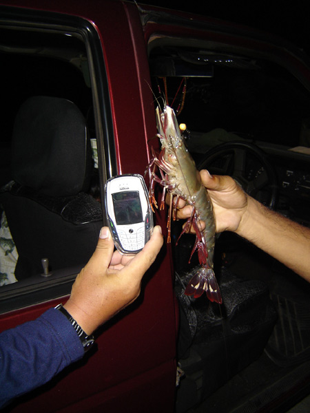 ตลาดนัดวันเสาร์