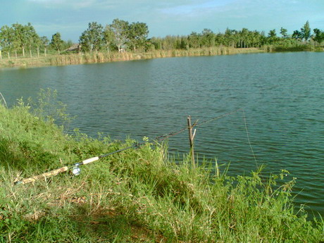ไปมาเหมือนกันคับ ( ที่ย่านซื่อ )