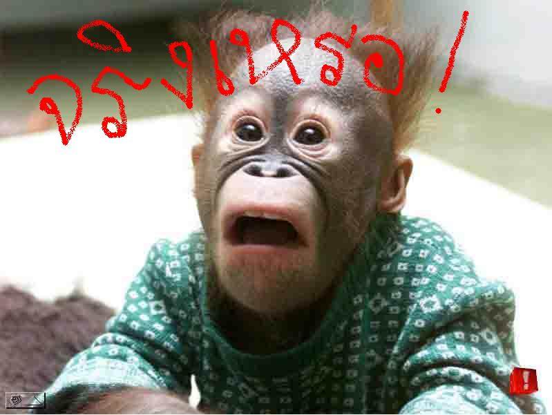 หาหมายเด็ดแถวนครปฐม