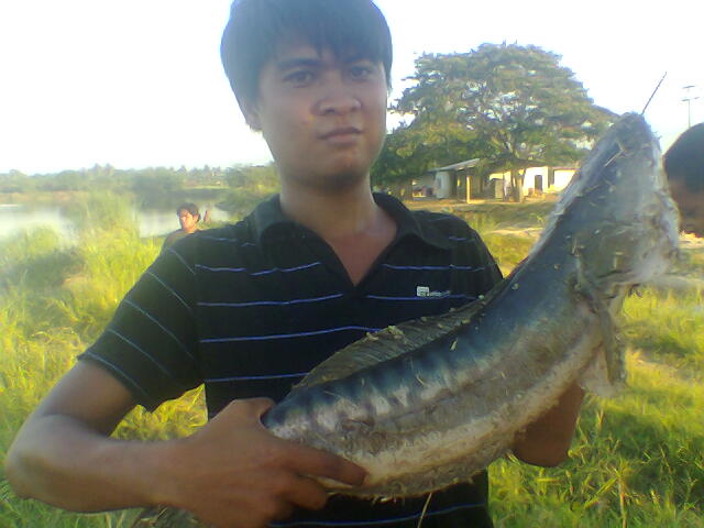 ! ชะโดดุที่มหาดไทย