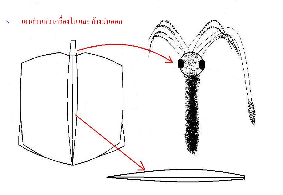 เทคนิคการแล่เหยื่อ และเกี่ยวเหยื่อปลาหมึก ตกชายฝัง