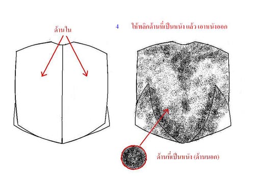 เทคนิคการแล่เหยื่อ และเกี่ยวเหยื่อปลาหมึก ตกชายฝัง