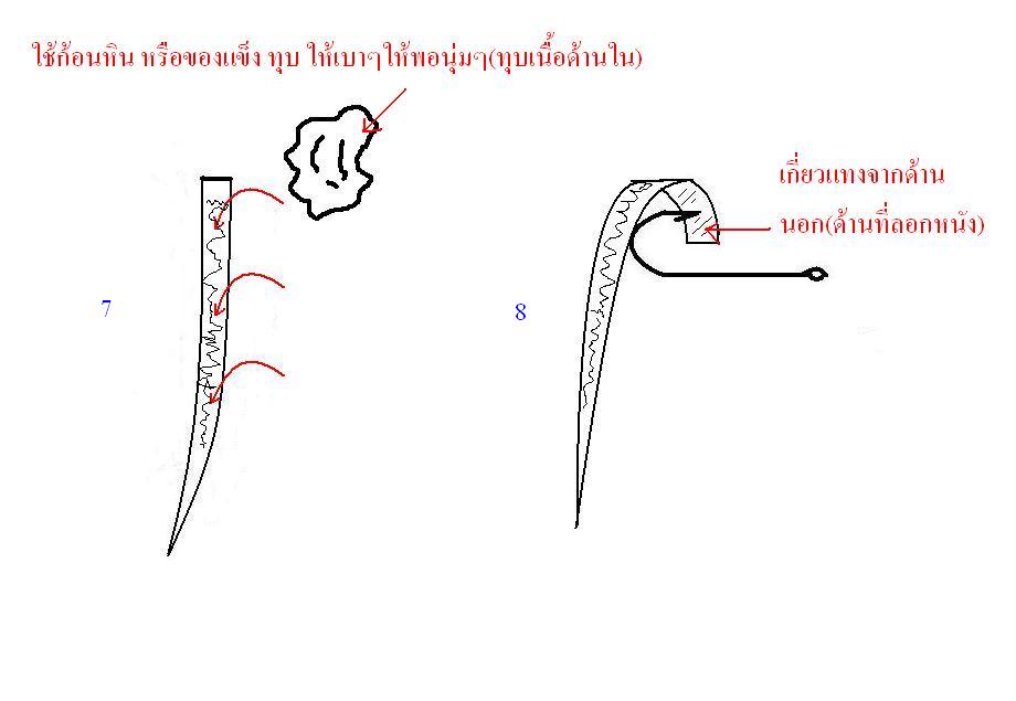 เทคนิคการแล่เหยื่อ และเกี่ยวเหยื่อปลาหมึก ตกชายฝัง