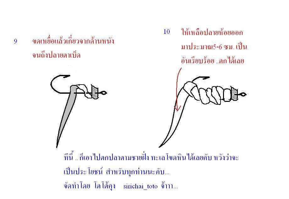 เทคนิคการแล่เหยื่อ และเกี่ยวเหยื่อปลาหมึก ตกชายฝัง