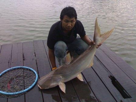 วันสะบายๆกับMUTfishingclub