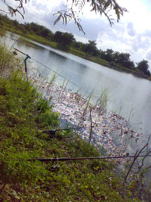 ทริฟเล็กๆที่สุพรรณบุรี