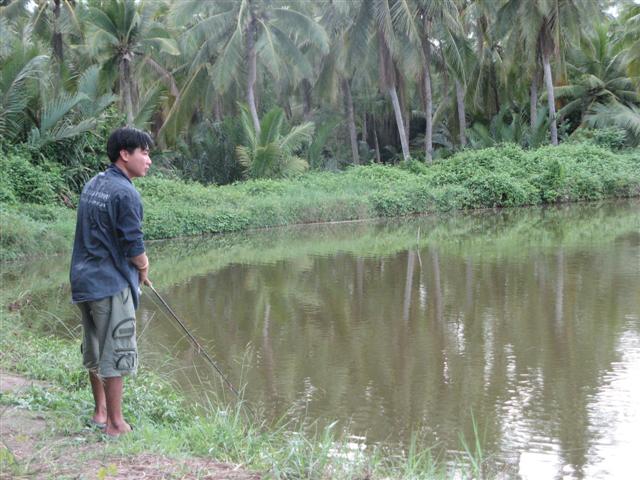 ตีปลาช่อนที่แม่กลอง ทริปสอง ครึ่งหลัง