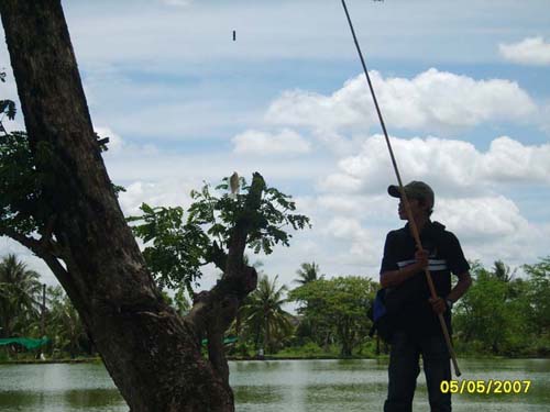 ฟารุก 3 โล