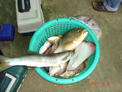 พาเด็กน้อย...ตกหมึกจันทบุรี