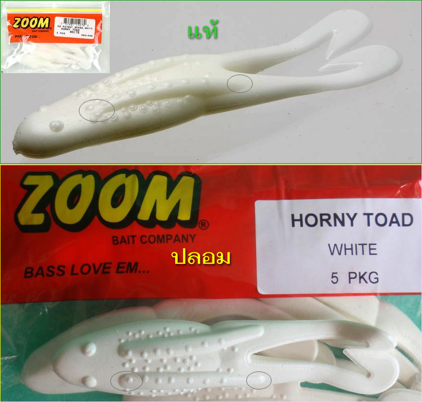[b]ZOOM horny toad[/b]
จุดสังเกตุ โครงสร้างลำตัว ของแท้ส่วนหัวจะเรียว มีแนวคอดเล็กน้อยก่อนเริ่มส่วน