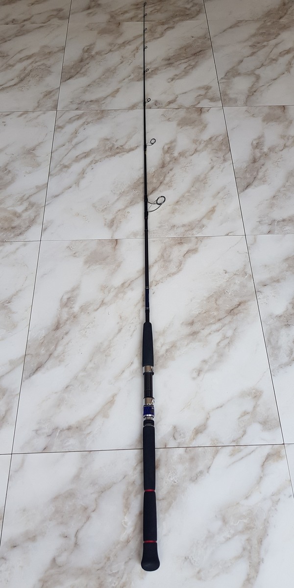 คันแคสDaiwa saltiga AR71S