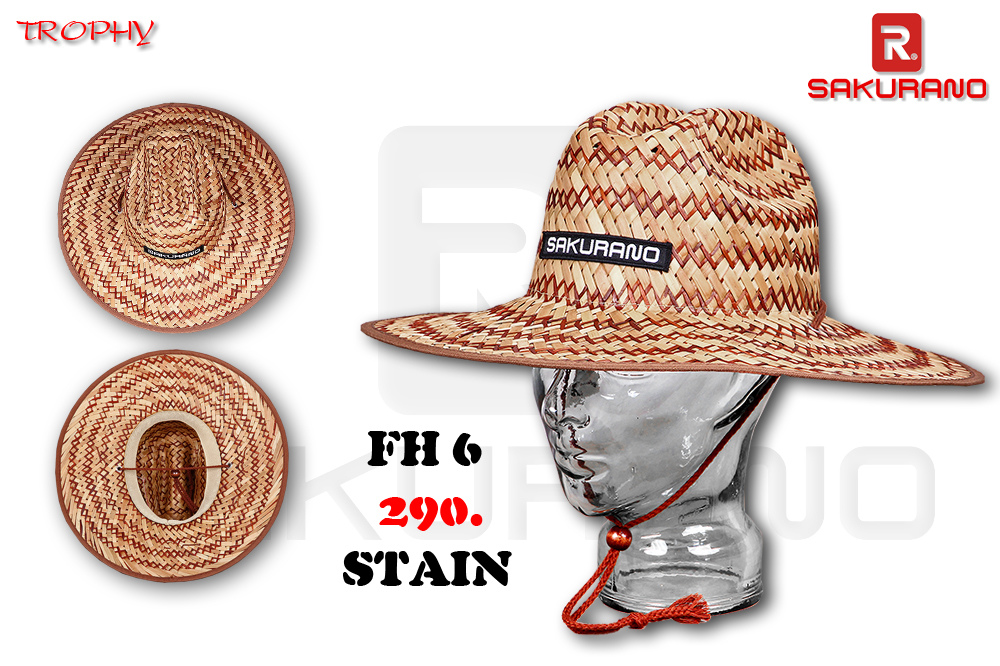 FH6 STAIN