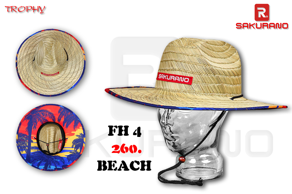 FH4 BEACH