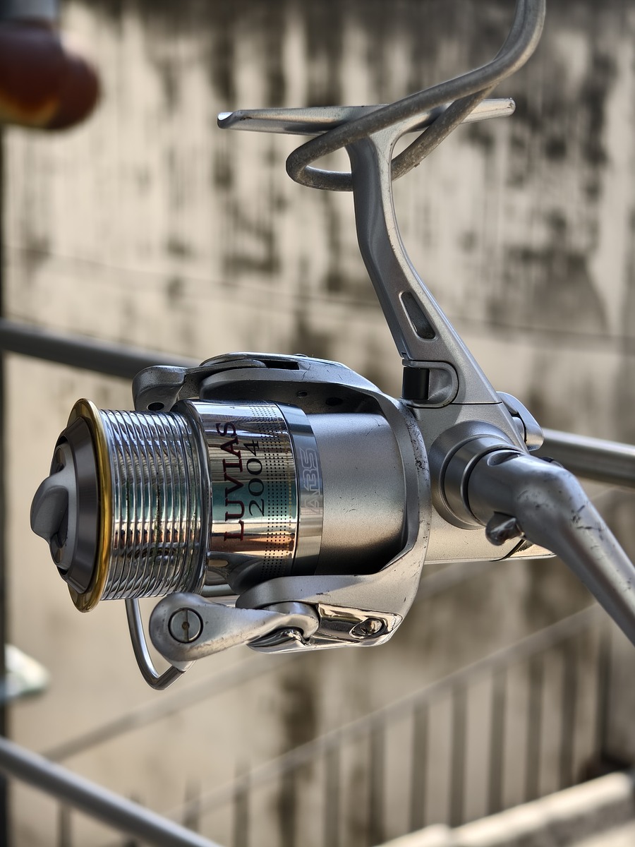 Daiwa luvias 2004