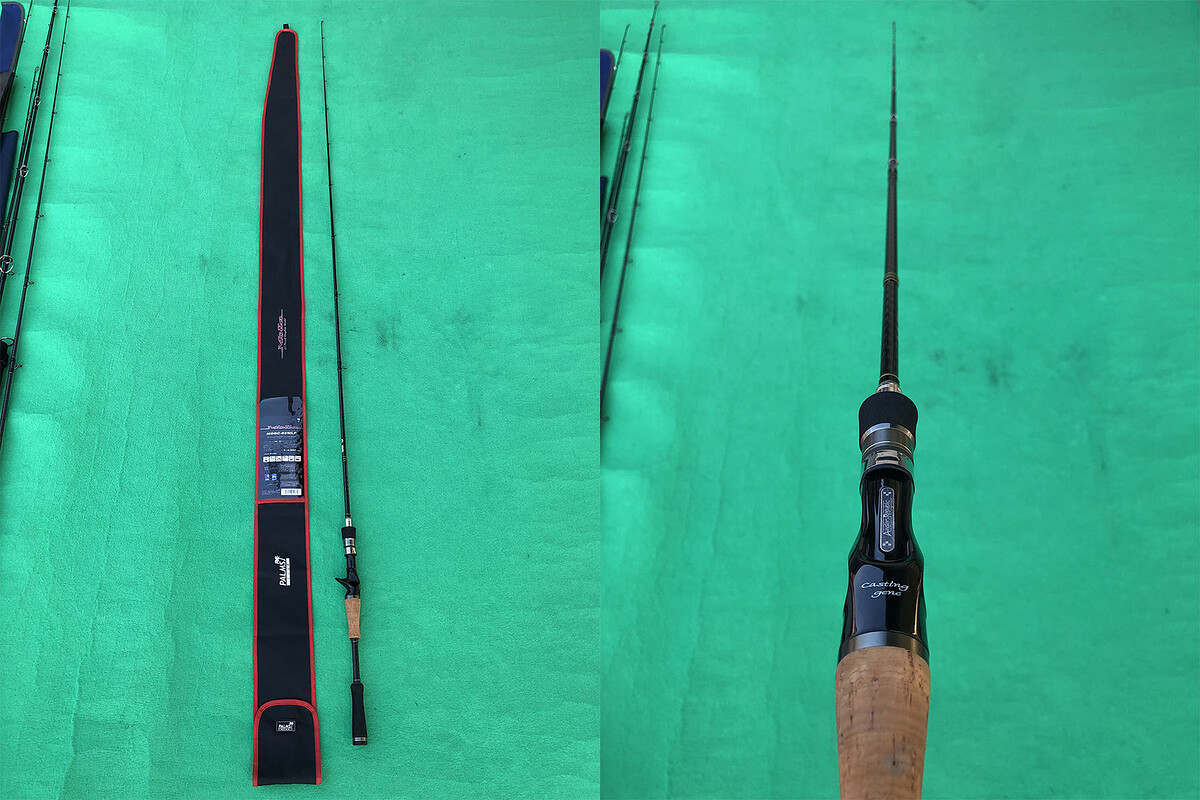 Palms Molla MSGC-65MLF