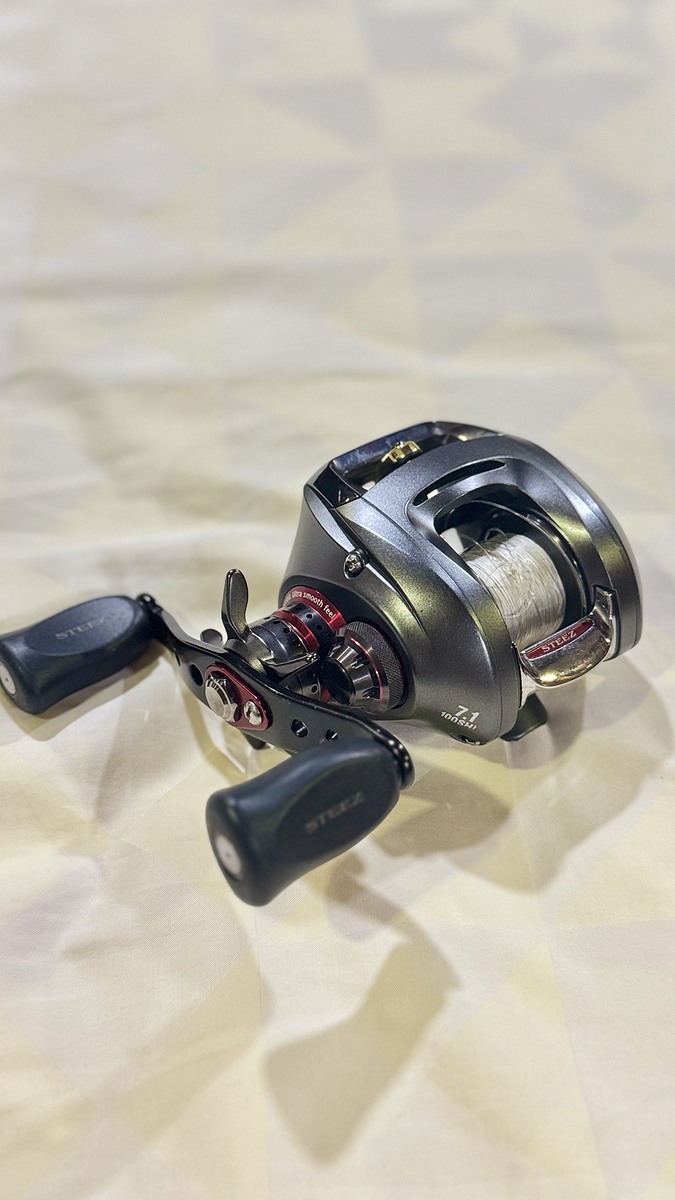 Daiwa steez 