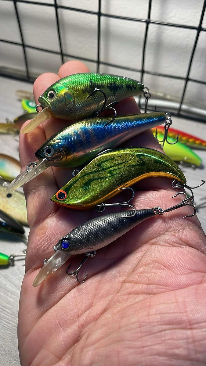5.Shallow Tracer 6cm 9.6g
6.T.D.SHAD-LC SP 7.5cm 10.3g
7.SMITH 6.5cm 10g = 85
8.Tiga Pivot 50 5.5