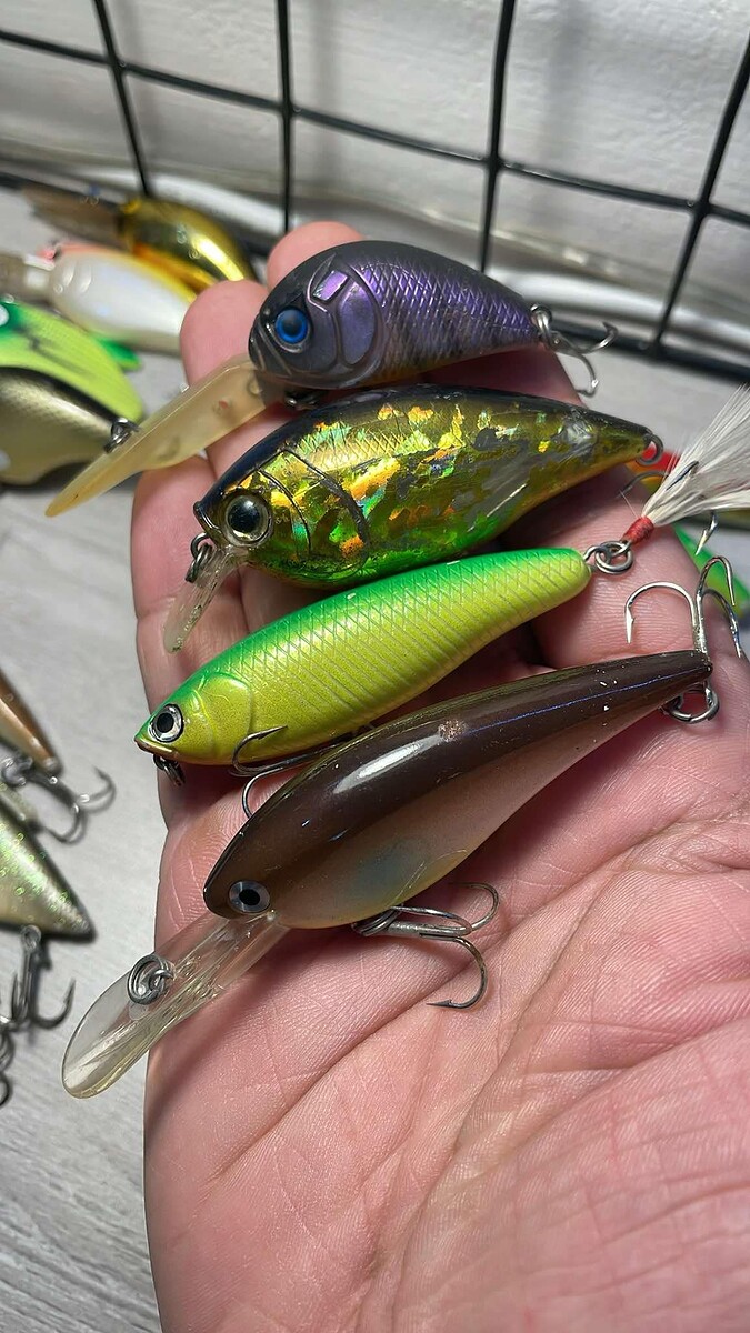 13.VIPER DESIGN Fleater 1.8m 6cm 9.4g
14.Hardcore Crank SR 65F 6.5cm 12.4g
15.JAPAN GREEN PENCIL 6